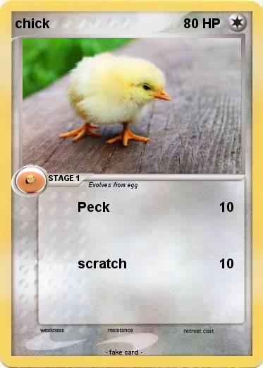 Pokemon chick