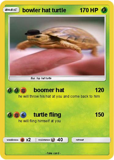 Pokemon bowler hat turtle