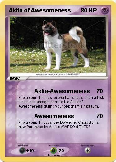Pokemon Akita of Awesomeness