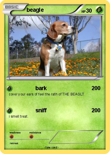 Pokemon beagle