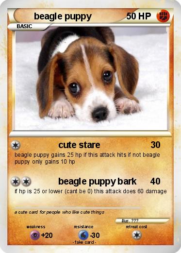 Pokemon beagle puppy