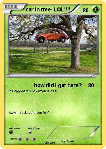 Pokemon car in tree- LOL!!!!