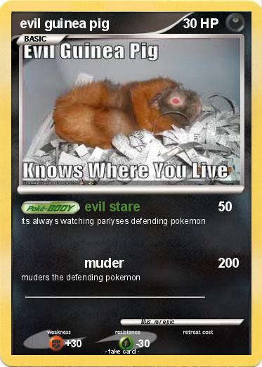 Pokemon evil guinea pig