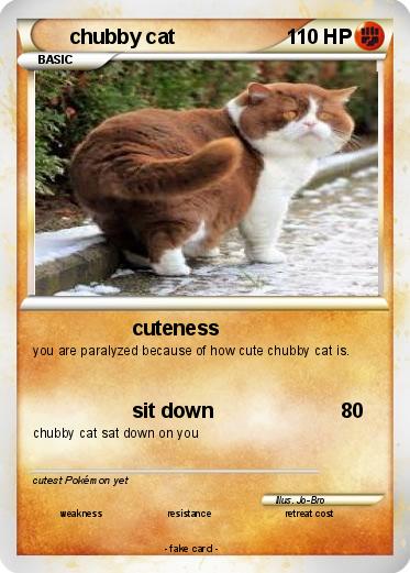Pokemon chubby cat
