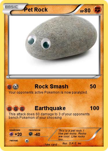 Pokemon Pet Rock