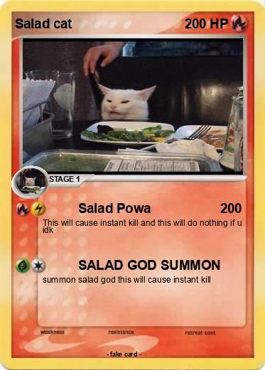 Pokemon Salad cat