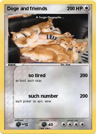 Pokemon Doge and frieinds