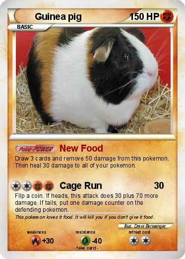 Pokemon Guinea pig