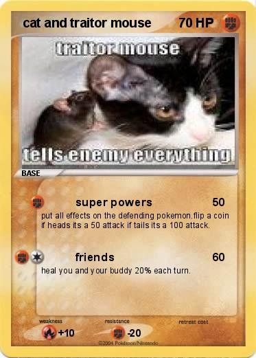 Pokemon  cat and traitor mouse