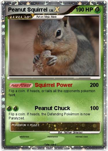 Pokemon Peanut Squirrel