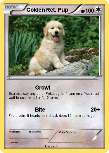 Pokemon Golden Ret. Pup