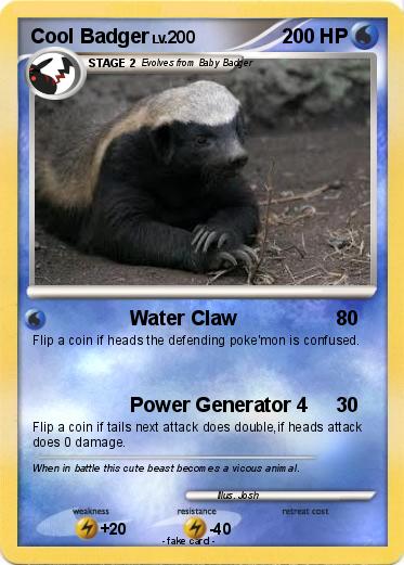 Pokemon Cool Badger