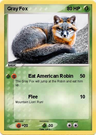 Pokemon Gray Fox