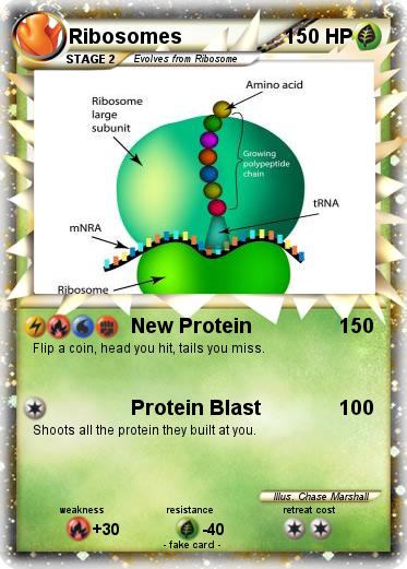 Pokemon Ribosomes