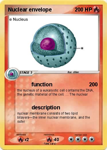 Pokemon Nuclear envelope