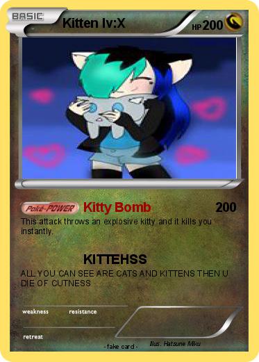 Pokemon Kitten lv:X