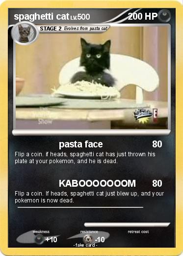Pokemon spaghetti cat
