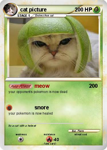 Pokemon cat picture