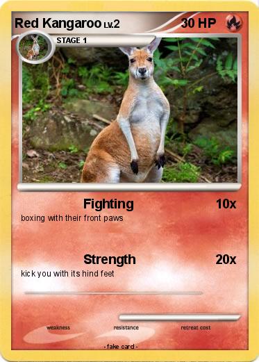 Pokemon Red Kangaroo