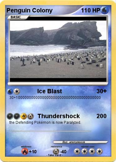 Pokemon Penguin Colony