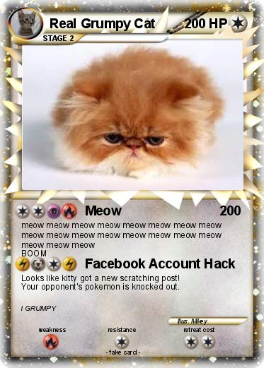 Pokemon Real Grumpy Cat