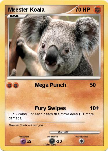 Pokemon Meester Koala