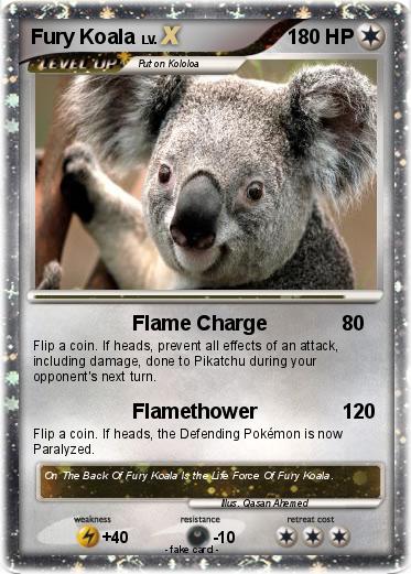 Pokemon Fury Koala