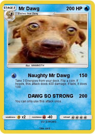 Pokemon Mr Dawg