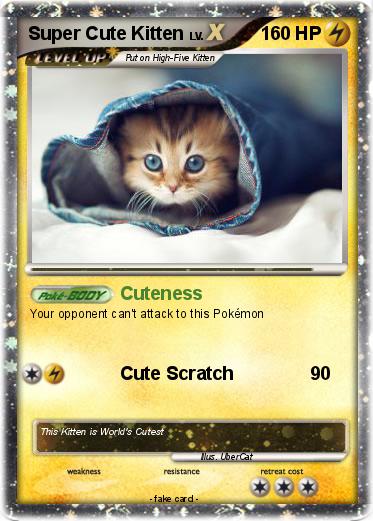 Pokemon Super Cute Kitten