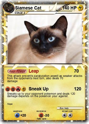 Pokemon Siamese Cat