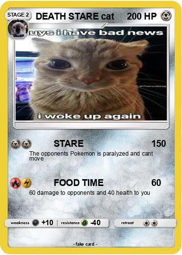 Pokemon DEATH STARE cat