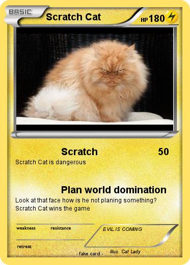 Pokemon Scratch Cat