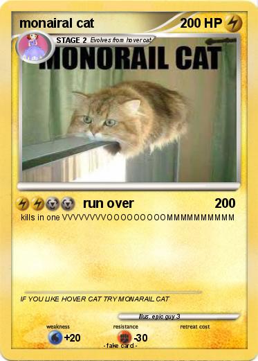 Pokemon monairal cat