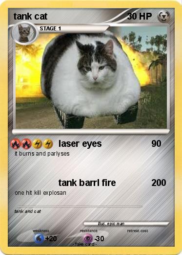 Pokemon tank cat