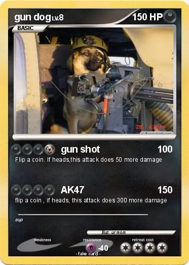 Pokemon gun dog