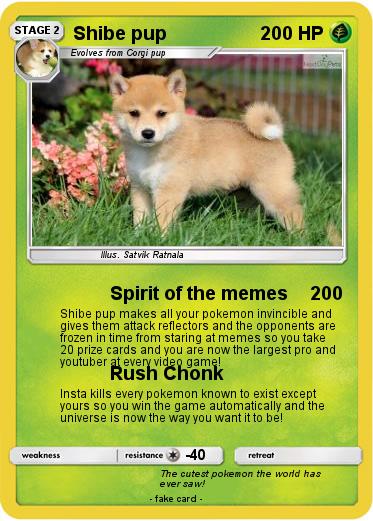 Pokemon Shibe pup