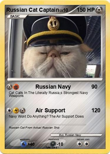 Pokemon Russian Cat Captain