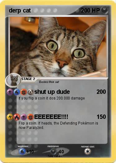 Pokemon derp cat