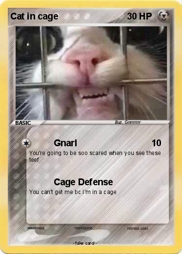 Pokemon Cat in cage
