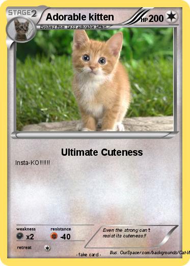 Pokemon Adorable kitten