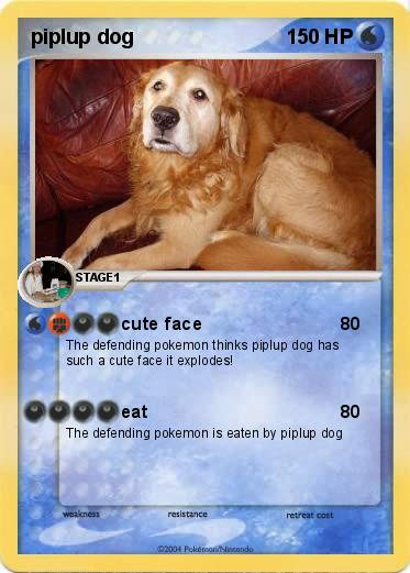 Pokemon piplup dog