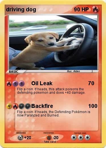 Pokemon driving dog