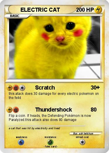 Pokemon ELECTRIC CAT