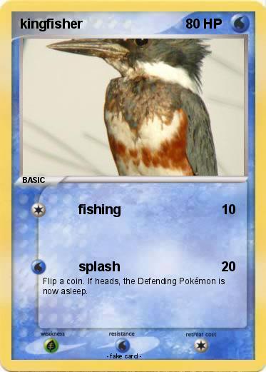 Pokemon kingfisher