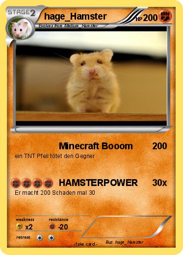 Pokemon hage_Hamster