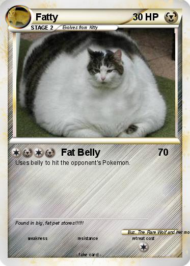 Pokemon Fatty