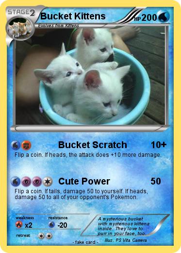 Pokemon Bucket Kittens