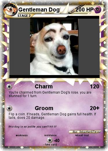 Pokemon Gentleman Dog