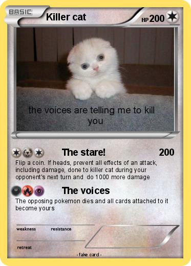 Pokemon Killer cat