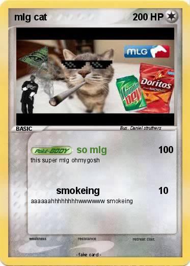 Pokemon mlg cat